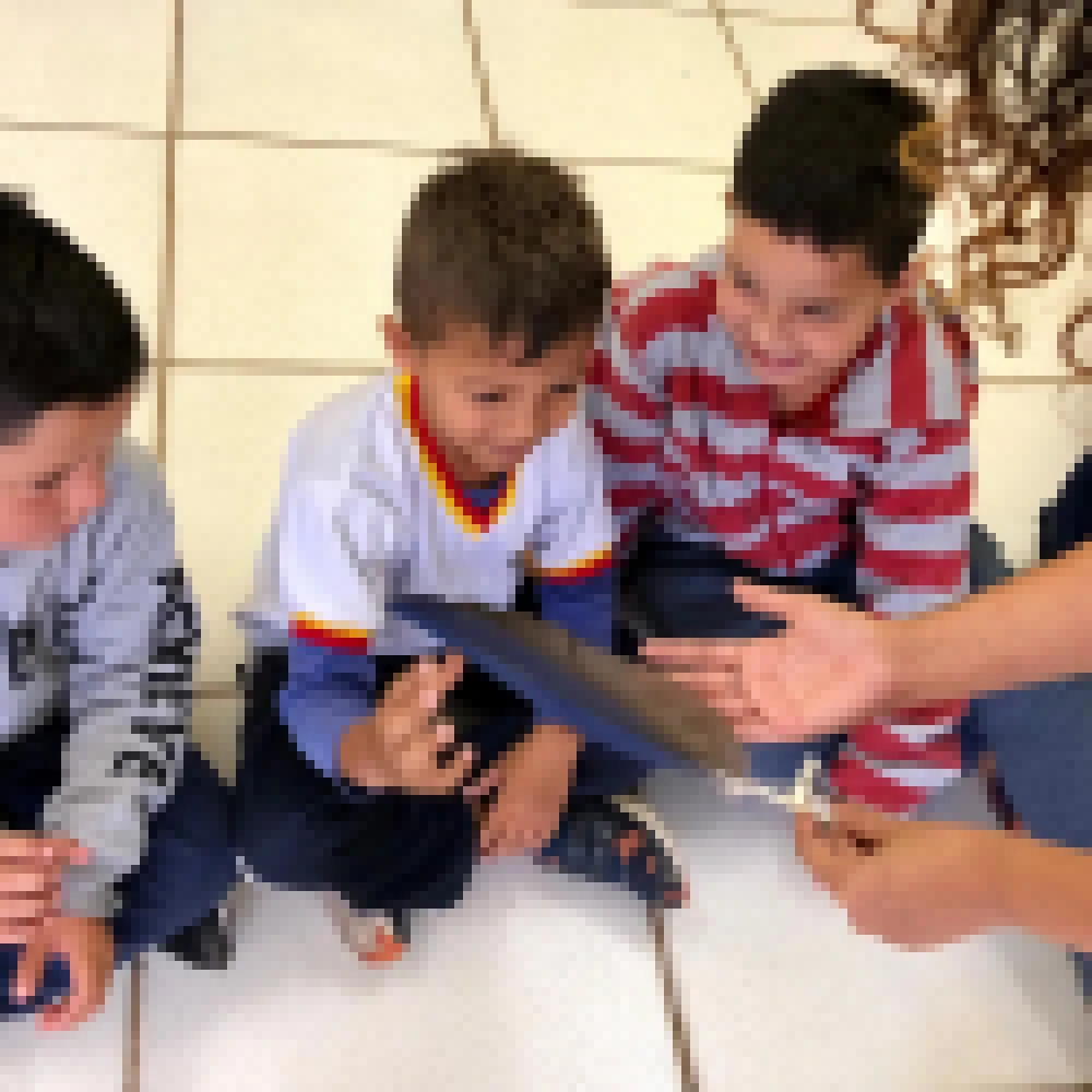 Ação educativa da Sema apresentou curiosidades e características das aves a alunos do Jd. Renascer