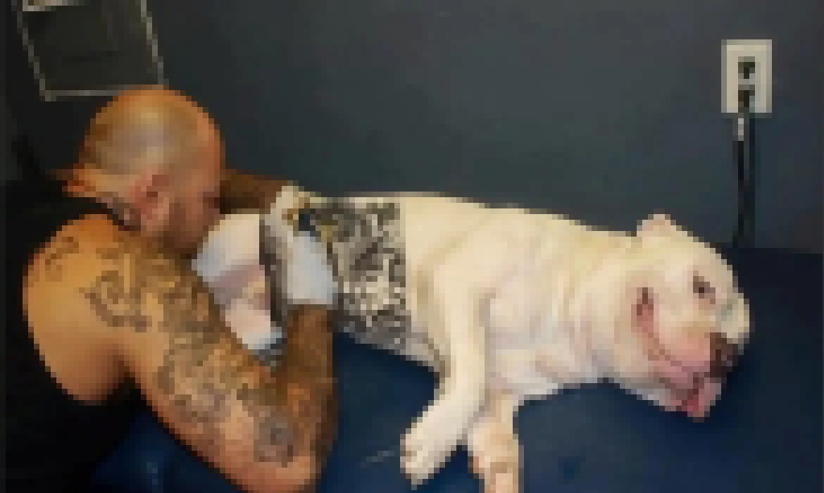 Governo sanciona lei que proíbe tatuagens e piercings em cães e gatos