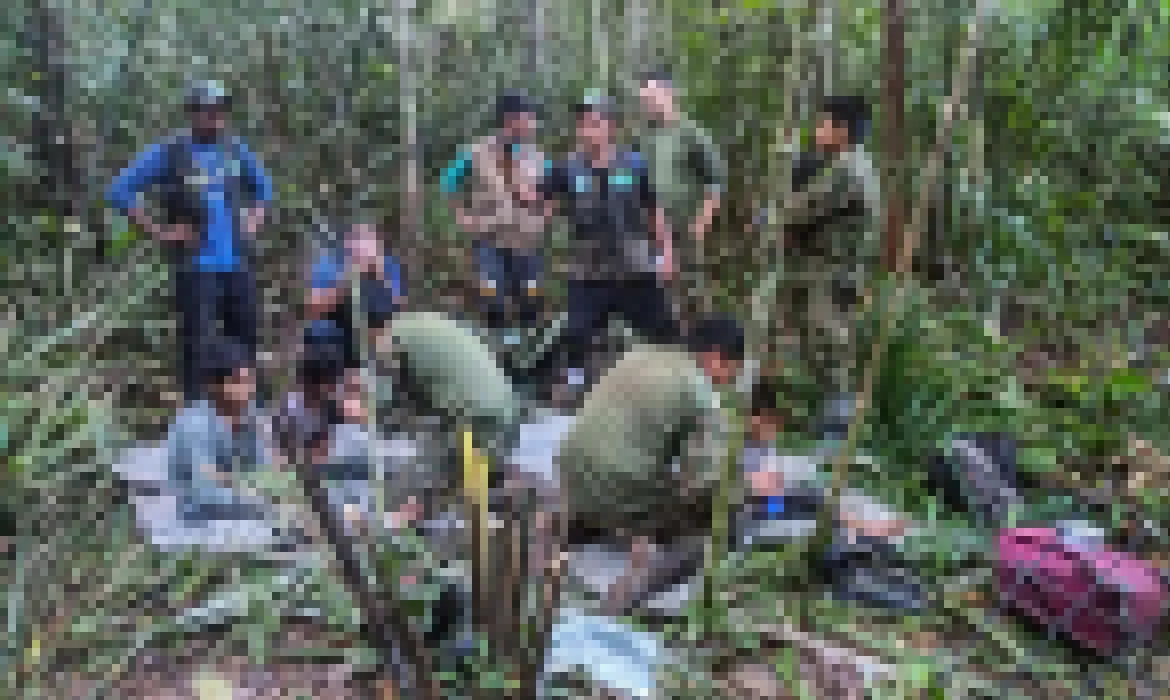 Crianças colombianas que sobreviveram a queda de avião são resgatadas