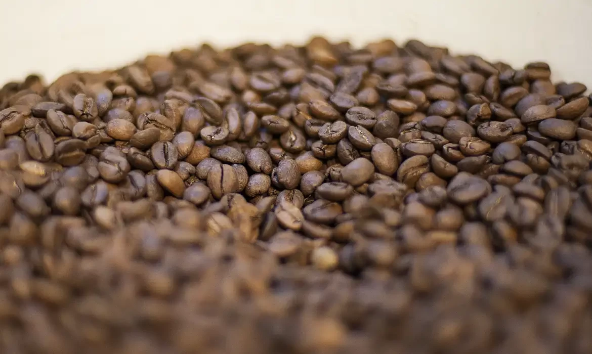 Governo reprova três marcas de café por serem impróprias para consumo