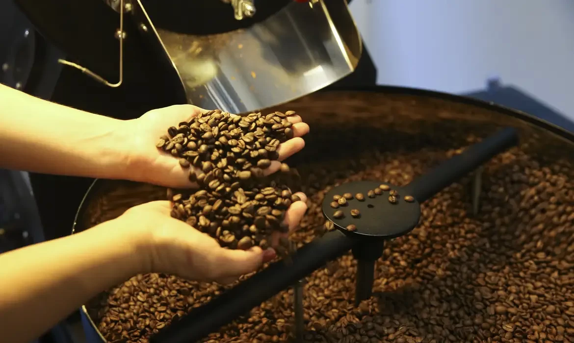 Setor cafeeiro pode ser forçado a redirecionar produção, diz USP