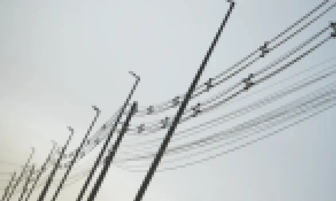 Light blinda rede elétrica para reduzir perda de energia no RJ