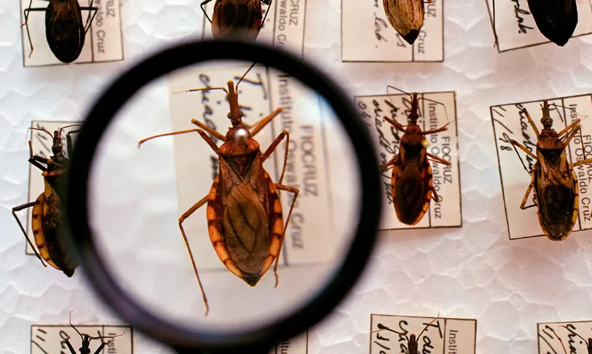 Saúde anuncia R$ 12 milhões para enfrentamento da doença de Chagas