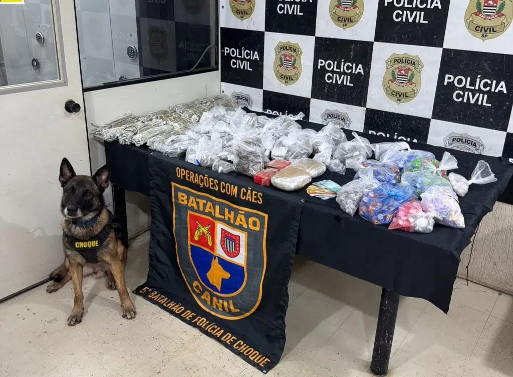Em 6 meses, Canil da PM atuou em mais de 200 operações para detectar drogas e explosivos na capital