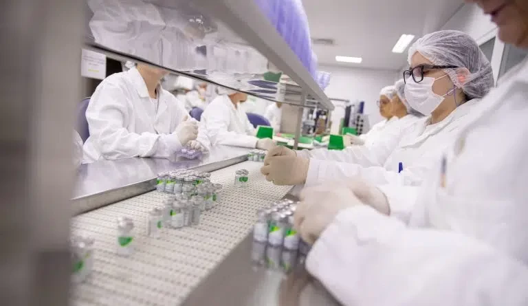 Candidatas à vacina da gripe aviária do Instituto Butantan induzem resposta imune