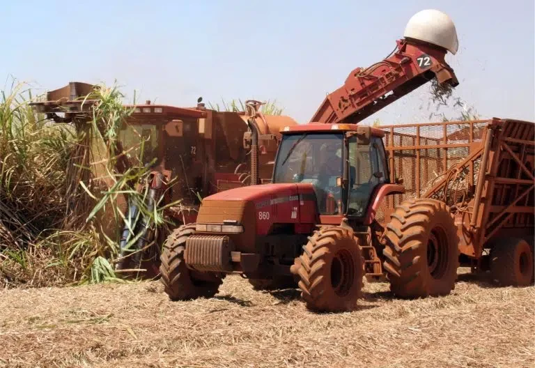 PIB paulista cresce 2,3% no primeiro trimestre de 2025 puxado pela agropecuária