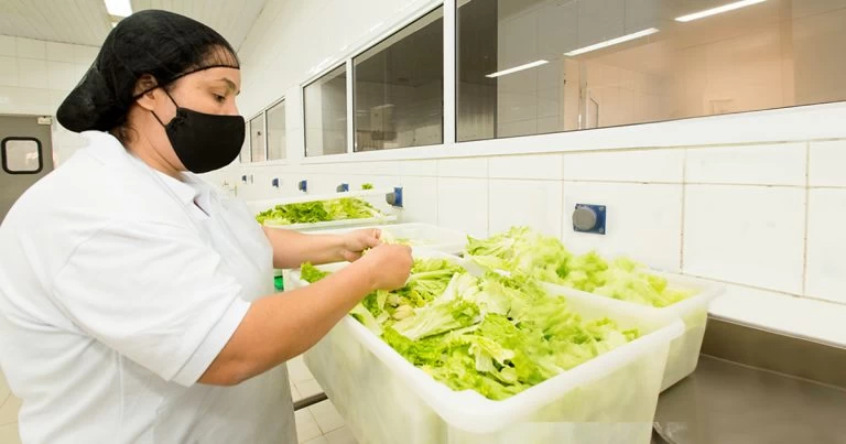 Doenças transmitidas por alimentos estão ligadas a práticas domésticas, mostra estudo