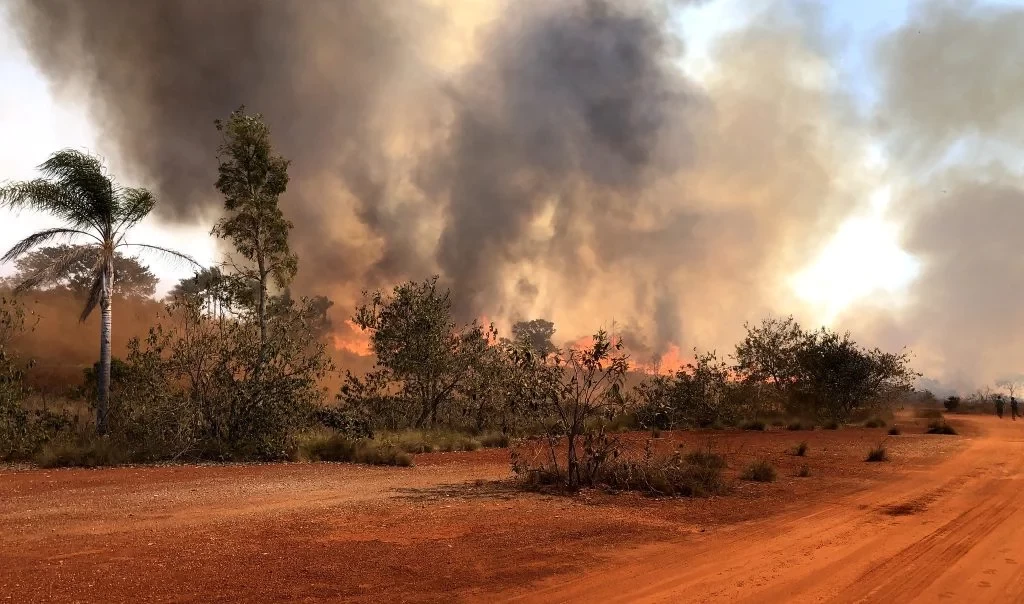 Veja como abrir aceiros e barrar o avanço de incêndios na propriedade rural
