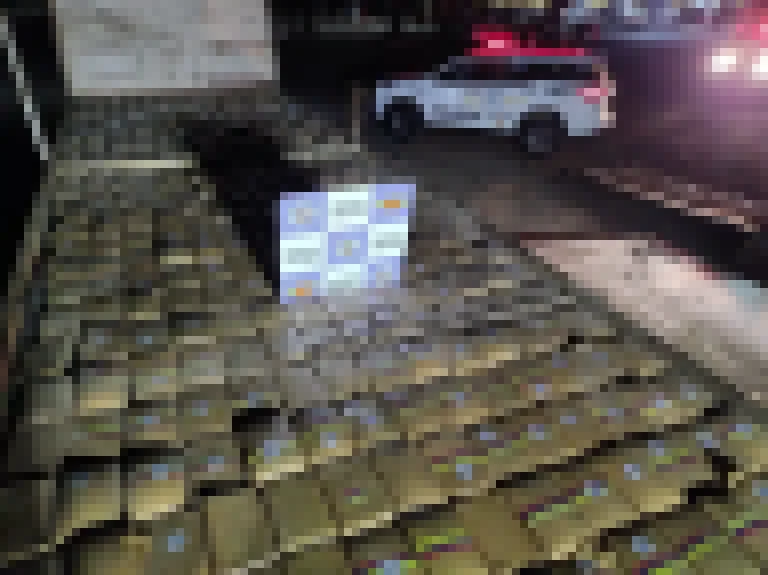 PM apreende 865 kg de droga conhecida como ‘super maconha’ no interior de SP