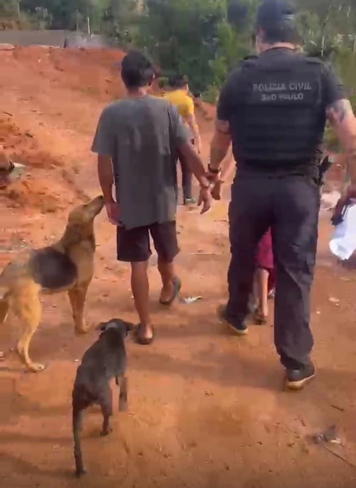 *Polícia Civil prende padrasto suspeito de estuprar enteada de 13 anos em Tapiraí*