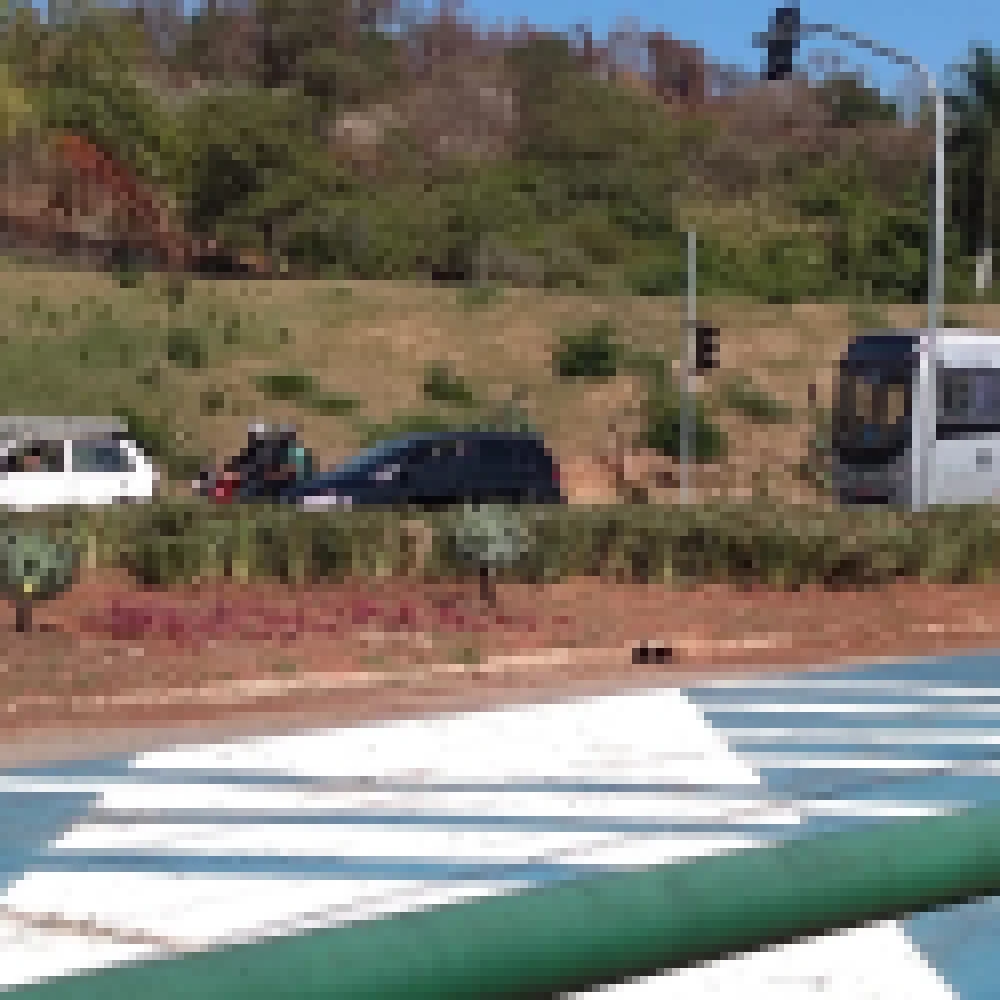 Av. Juvenal de Campos recebe plantio de moreias
