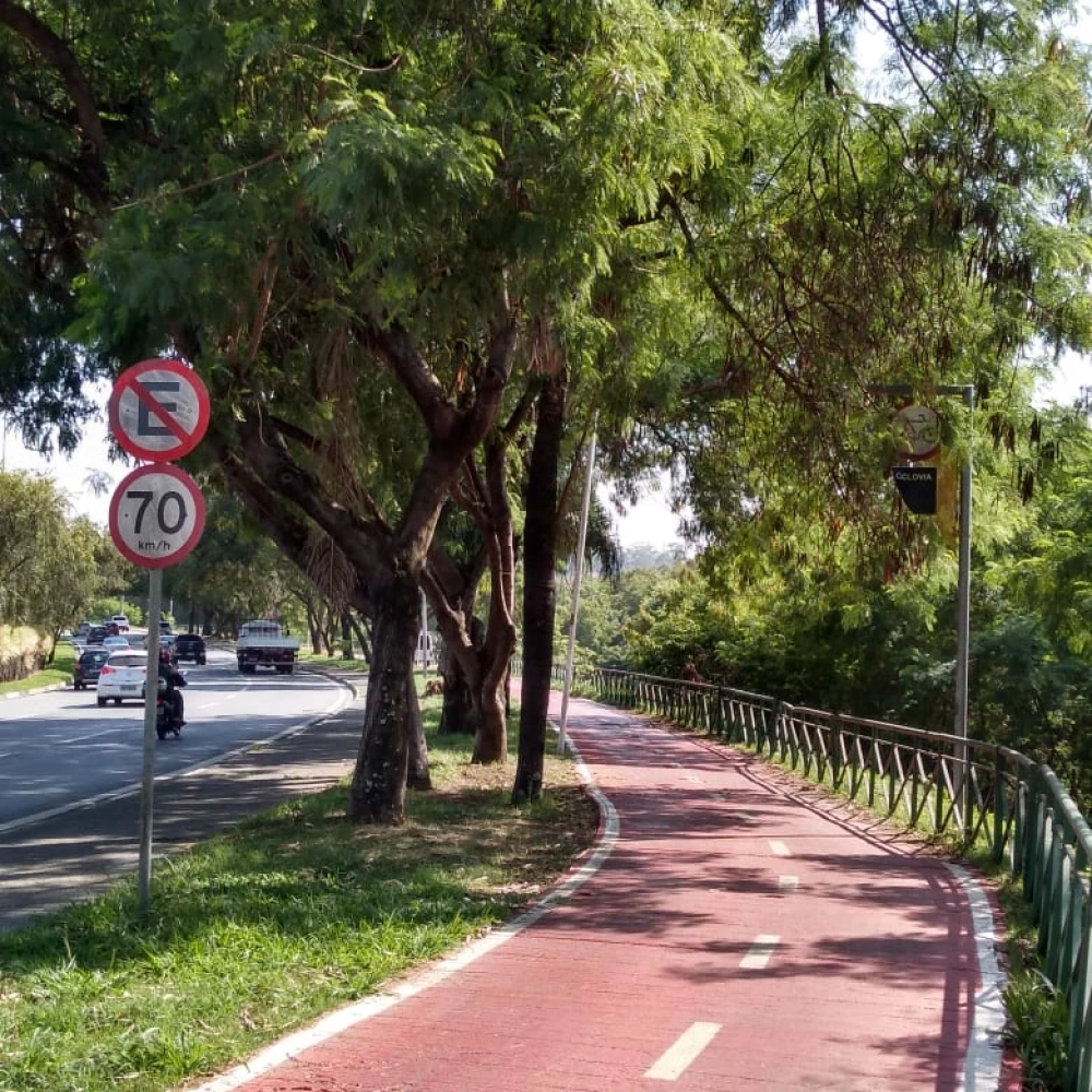 Avenida Dom Aguirre está recebendo serviço de poda de árvores