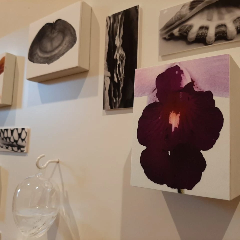 Bate-papo com artistas da exposição ‘1MULHERporM²’ acontece nesta quinta-feira