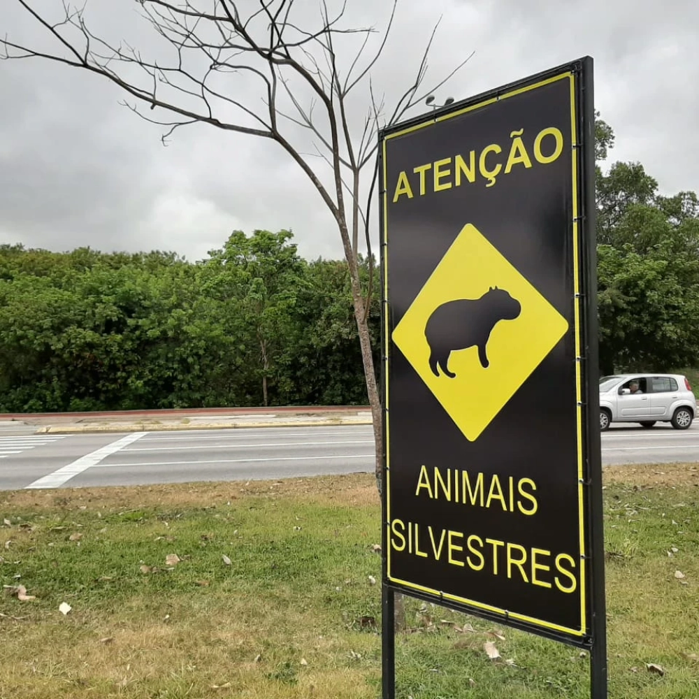 Blitz educativa visa sensibilizar motoristas do risco de atropelamento de capivaras e outros animais silvestres