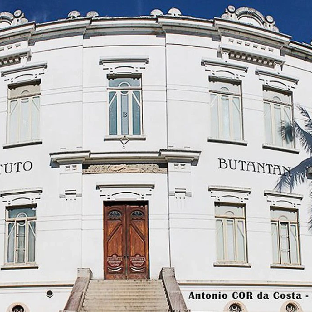 Butantan pede autorização para testar soro contra covid-19 em humanos