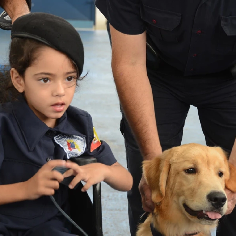 Cão terapeuta da GCM auxilia no desenvolvimento de menina com paralisia cerebral