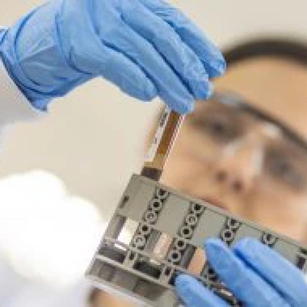 Cientistas de SP estão desenvolvendo vacina contra novo coronavírus