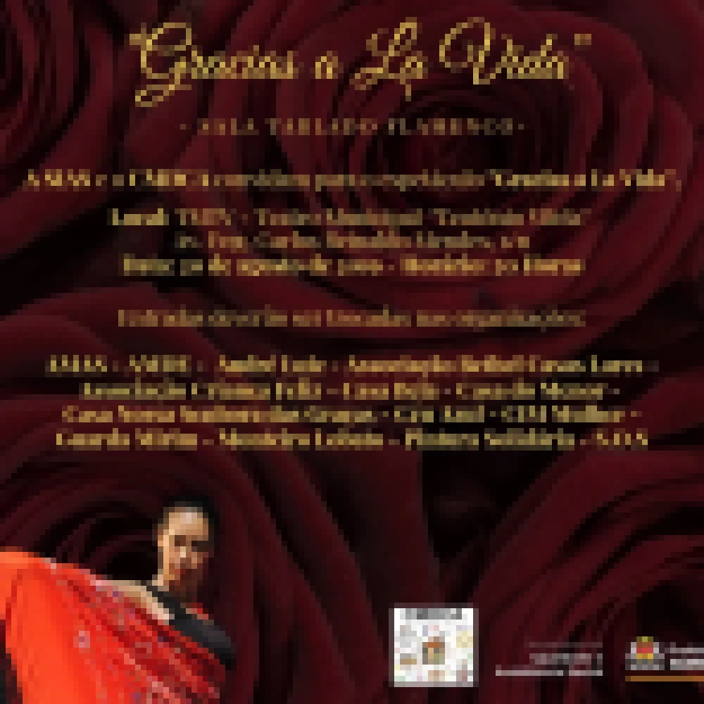CMDCA realiza espetáculo beneficente de Flamenco no Teatro Municipal