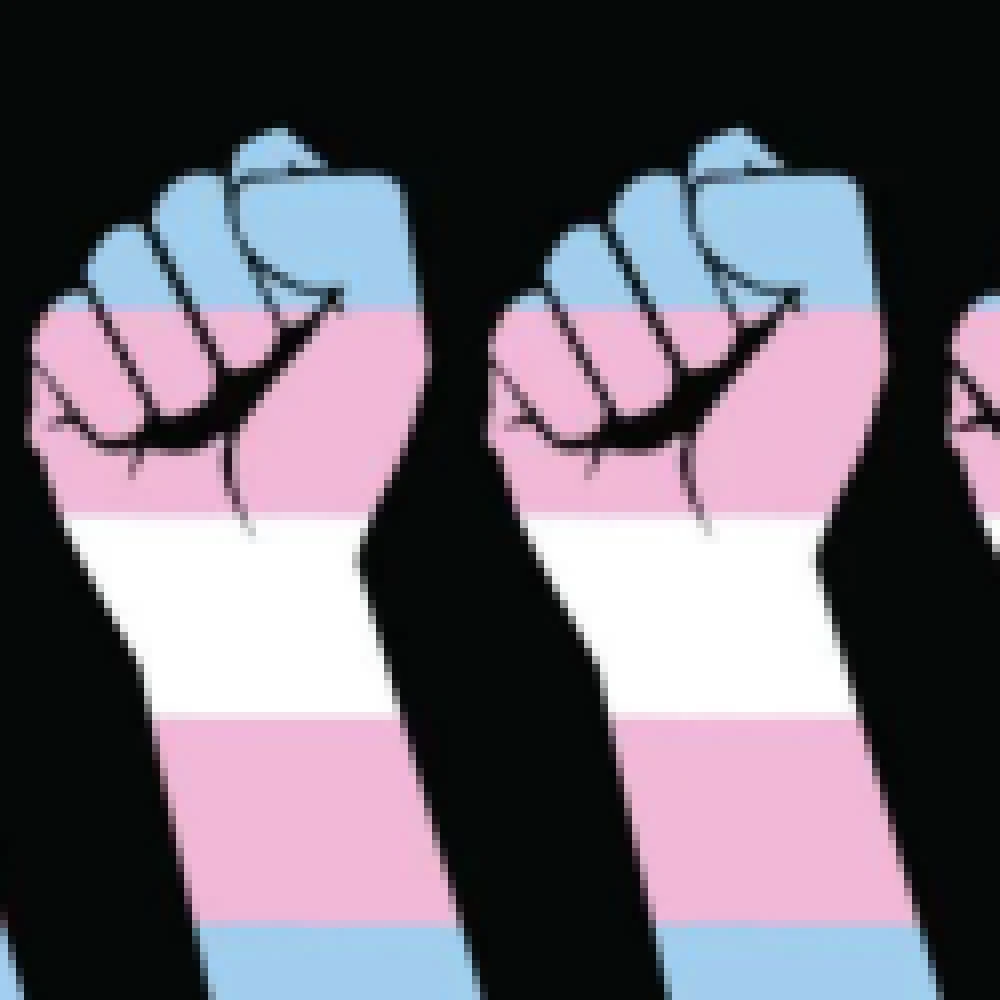 Conselho LGBT promove eventos para celebrar o Dia da Visibilidade Trans em Sorocaba