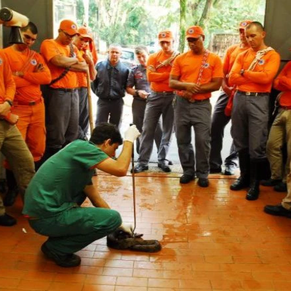 Corpo de Bombeiros realiza curso de captura e manejo dos animais selvagens no Zoo de Sorocaba