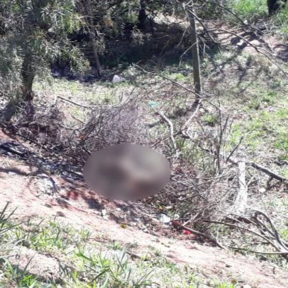 Corpo de homem é encontrado queimado no Maria Eugênia