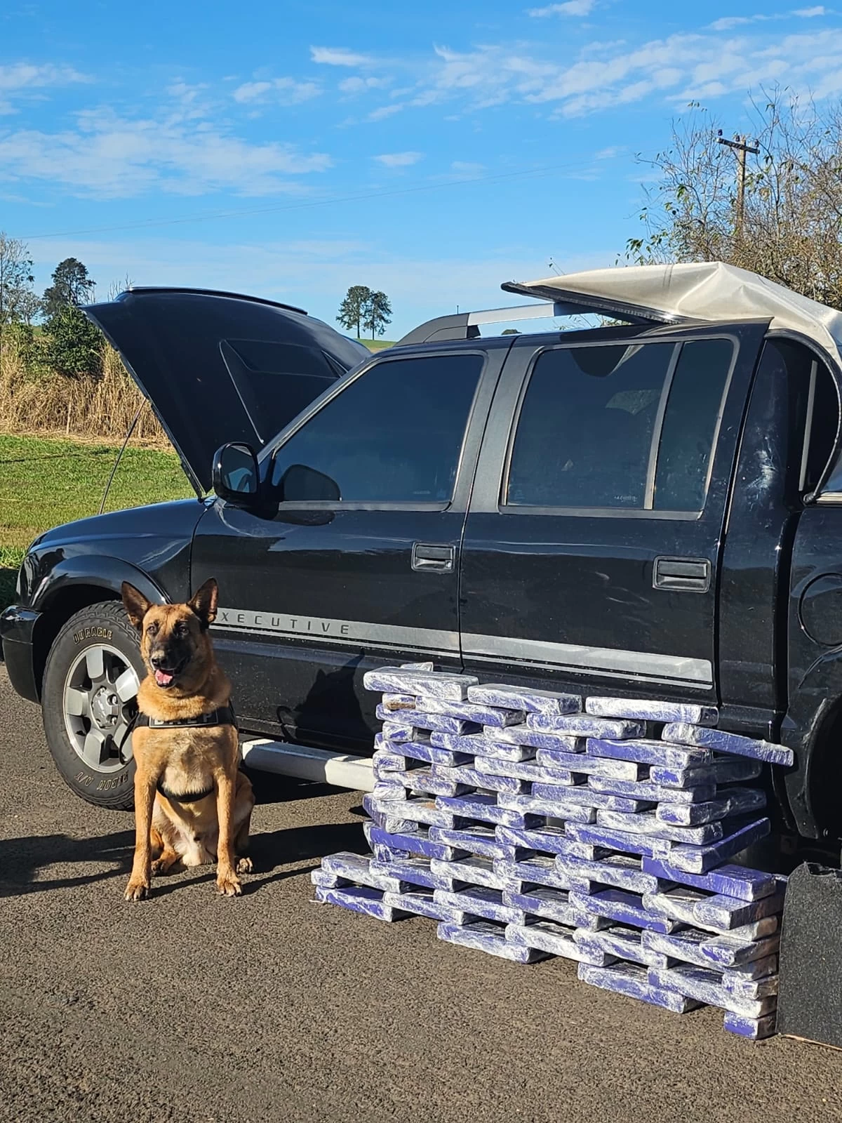 Força Tática e Canil do BAEP apreendem 74 tijolos de maconha na Castelo Branco