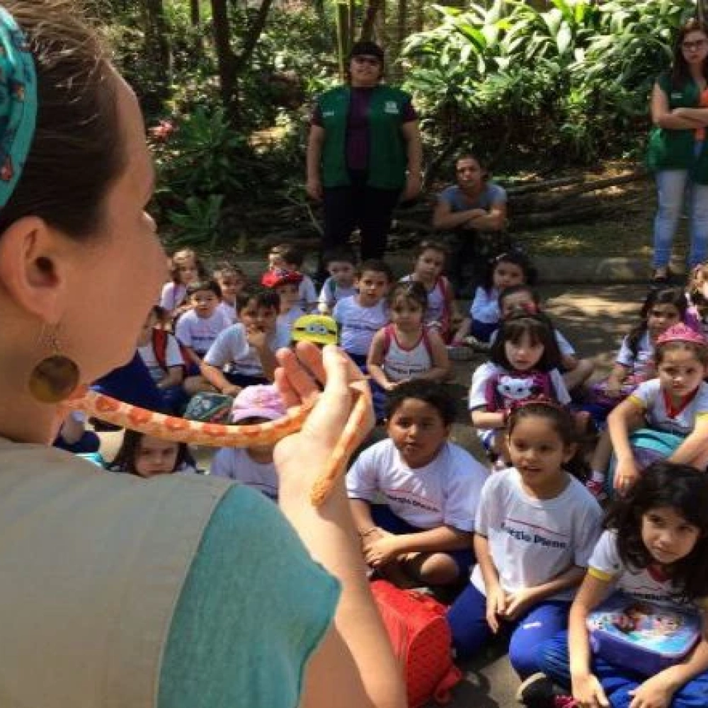 Crianças aprendem de forma divertida sobre os animais do Zoo