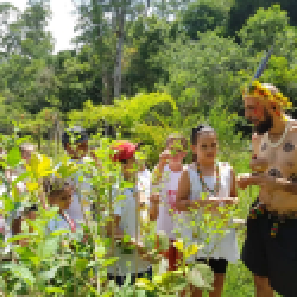 Crianças fazem trilha na mata com o ‘pajé’ e conhecem as plantas medicinais