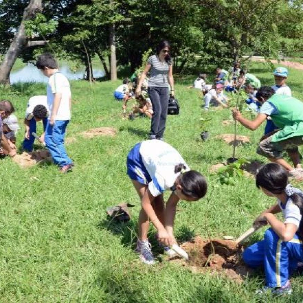 Crianças plantam árvores e ajudam na recuperação da mata ciliar do Rio Sorocaba