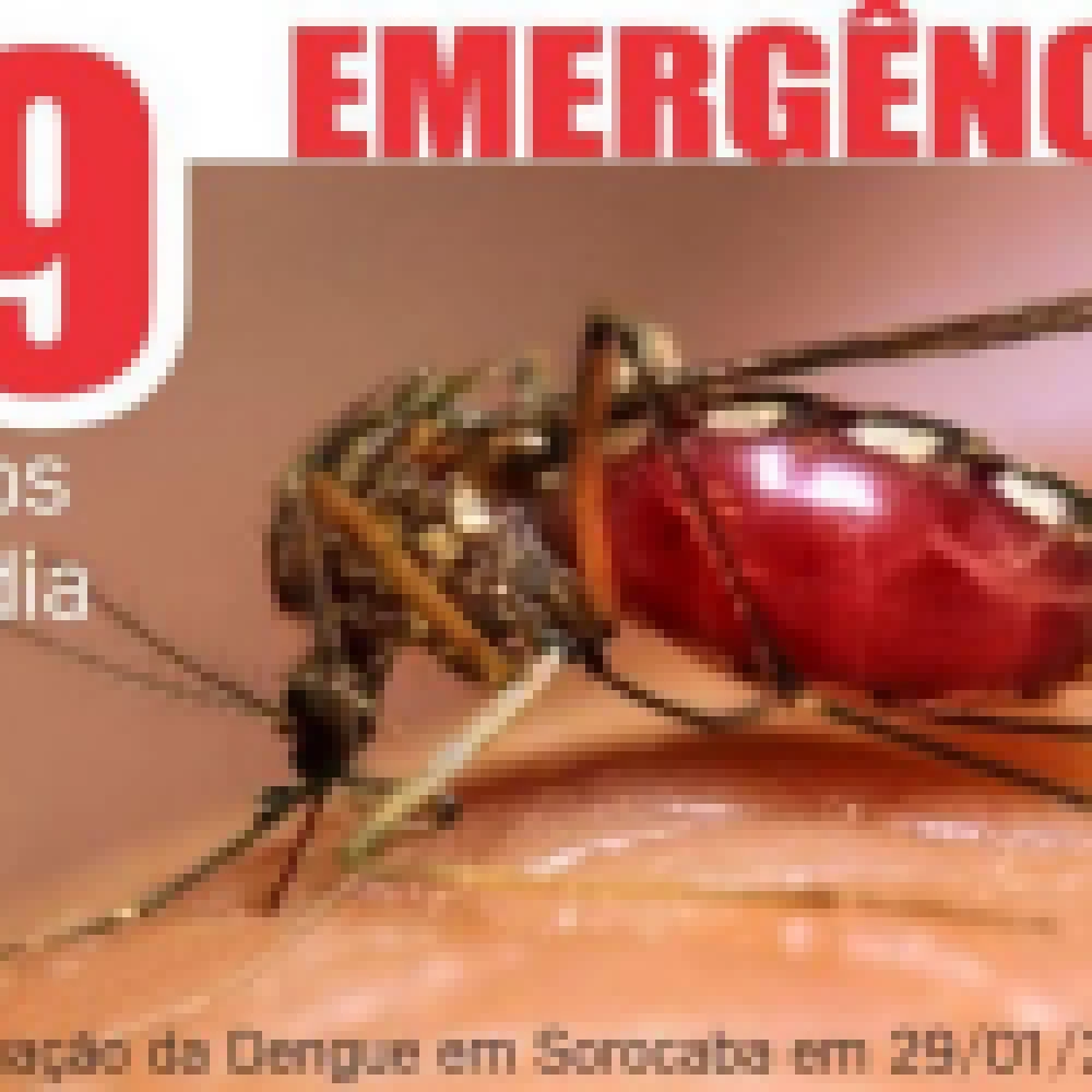 Dengue: Com 19 casos por dia, Prefeitura de Sorocaba decreta situação de emergência