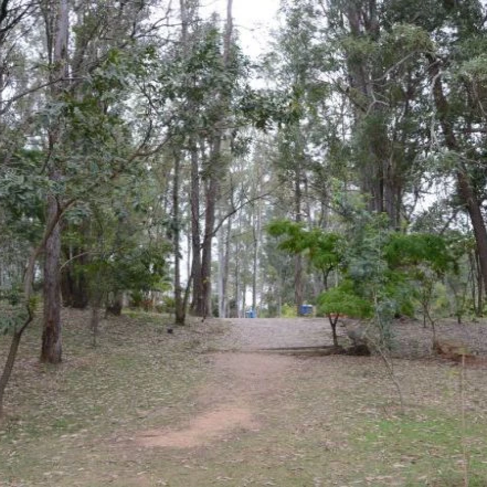 Dia do Biólogo será comemorado com atividades no “Chico Mendes”