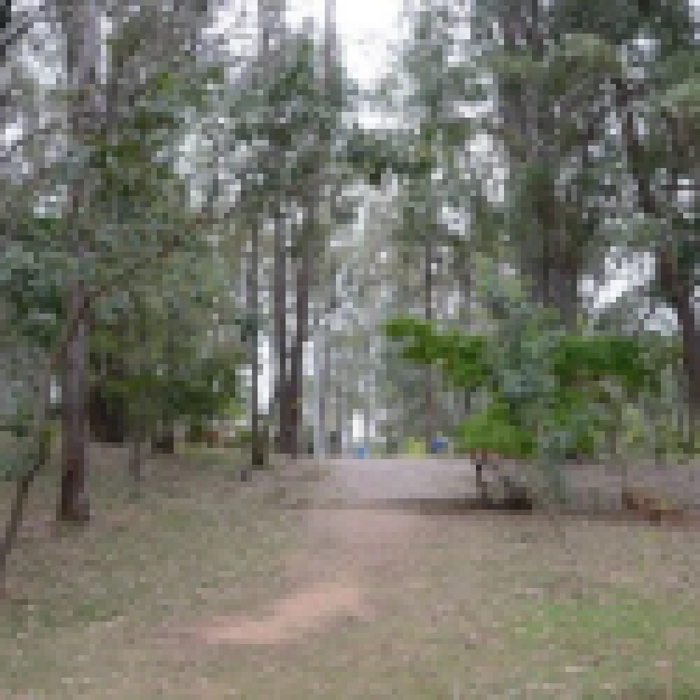 Dia do Biólogo será comemorado com atividades no “Chico Mendes”