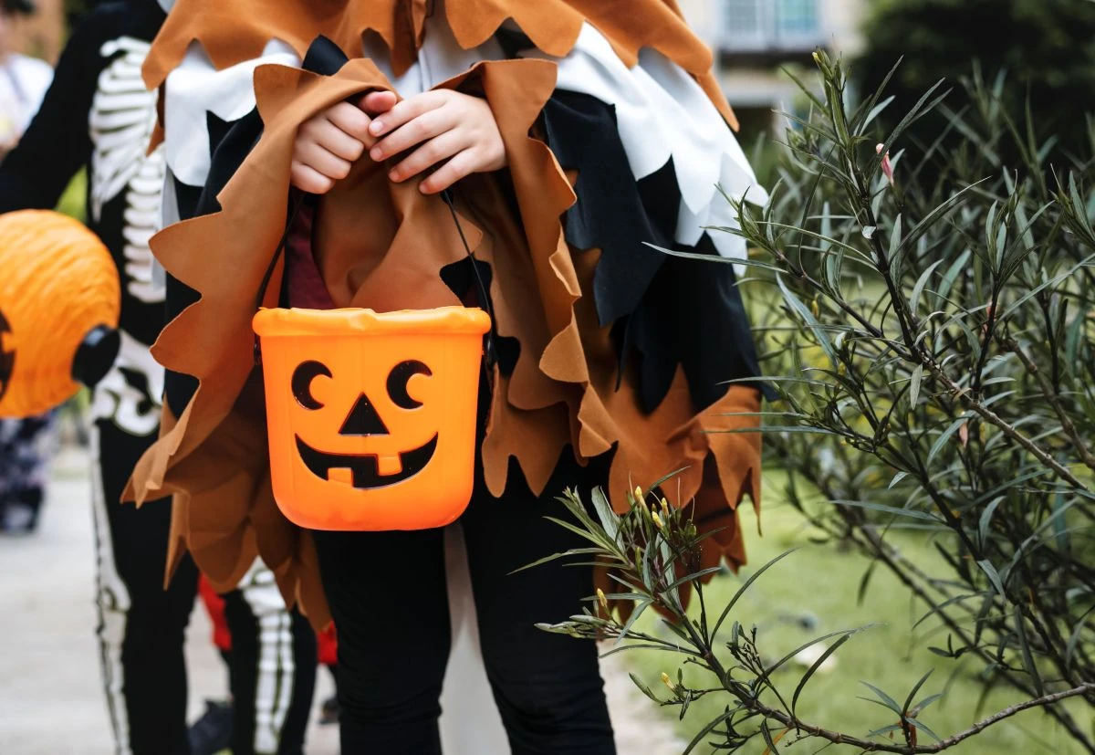 Halloween Tropical na Zona Norte: Caça aos Doces e Bailinho acontecem no dia 31 de outubro