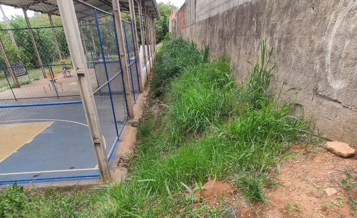 Dylan Dantas reforça pedido por limpeza, roçagem e segurança no Recreio dos Sorocabanos