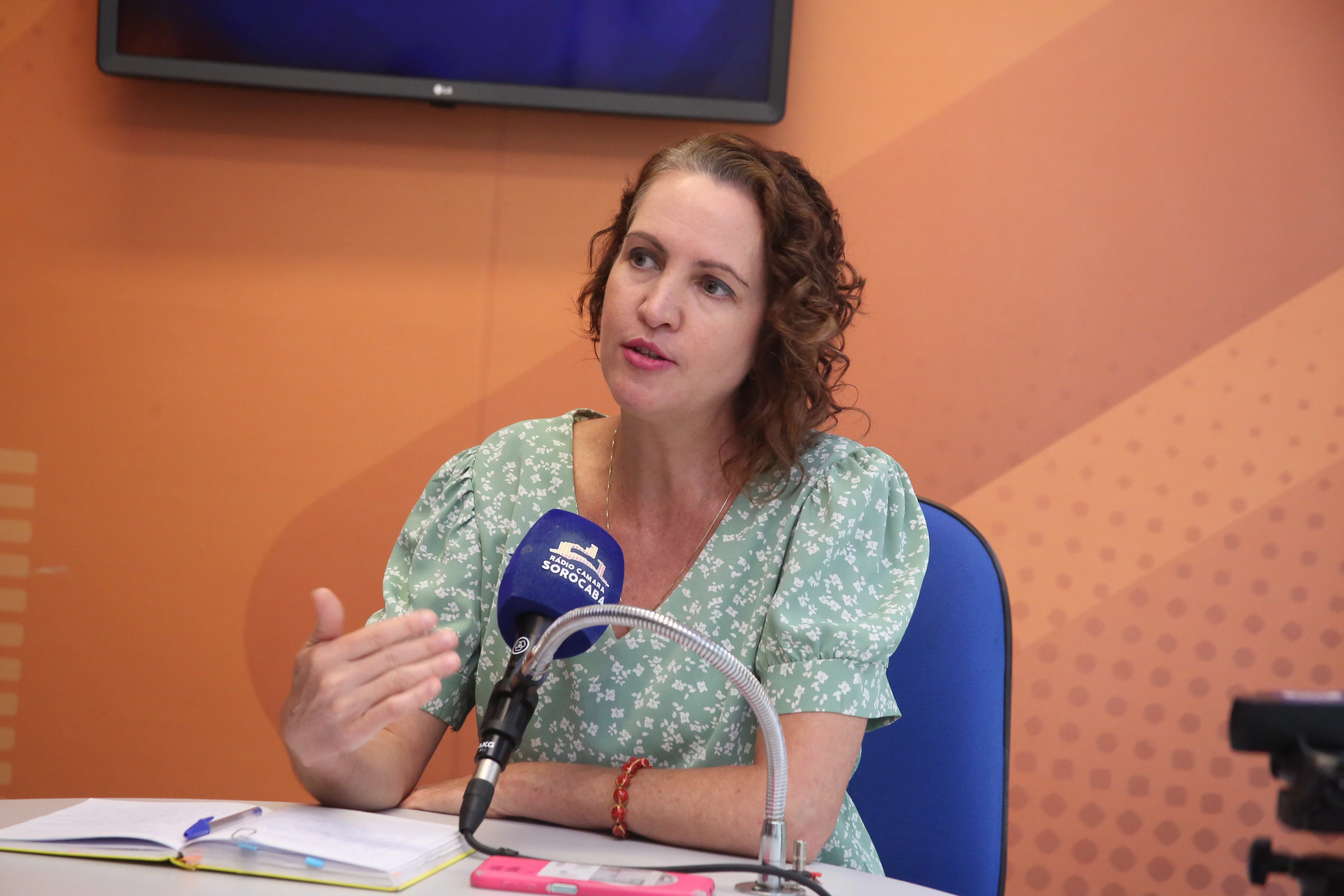 Fernanda Garcia fala sobre violência de gênero e desafios da maternidade no Jornal da Câmara