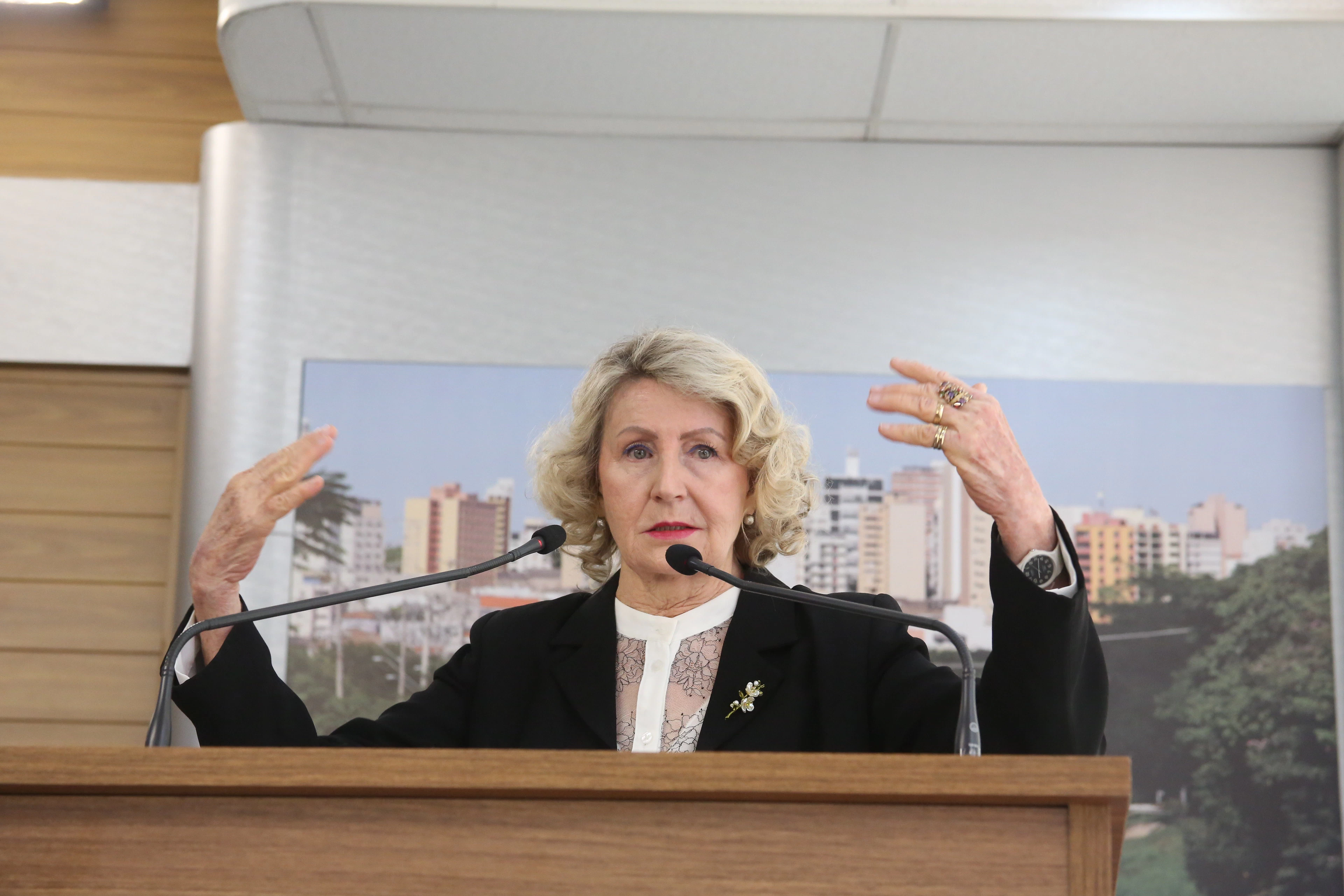 Iara Bernardi cobra implantação de iluminação pública em frente à UFSCar na Rodovia João Leme dos Santos