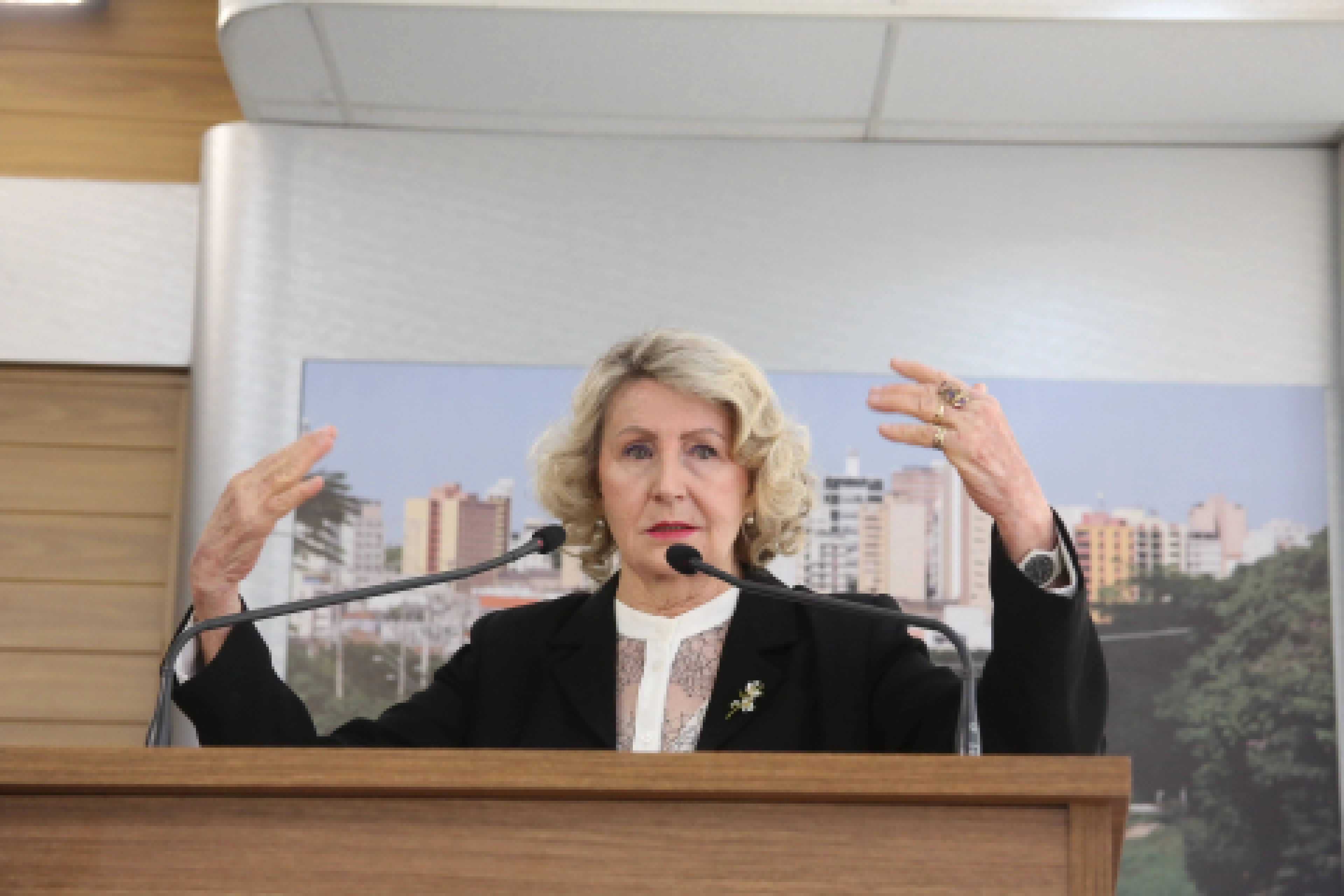 Iara Bernardi cobra implantação de iluminação pública em frente à UFSCar na Rodovia João Leme dos Santos