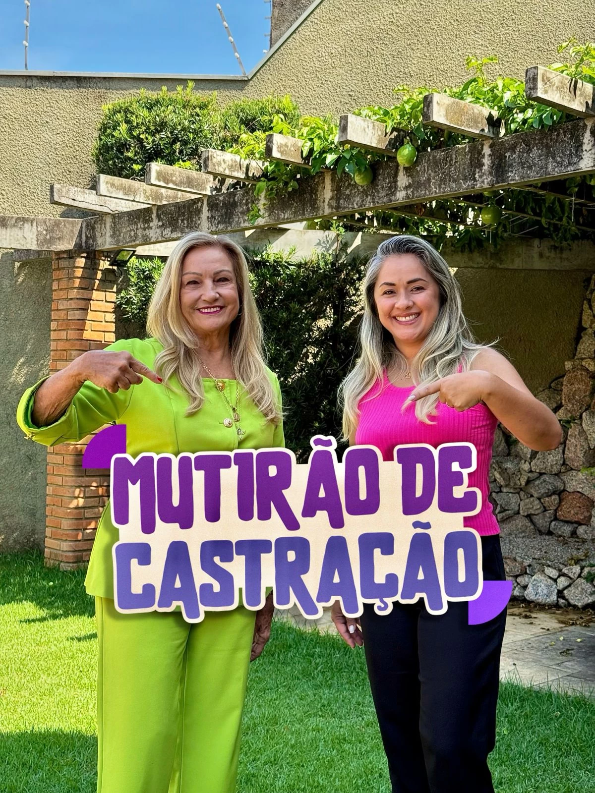 Emenda da deputada Maria Lucia Amary garante Mutirão de Castração em Sorocaba