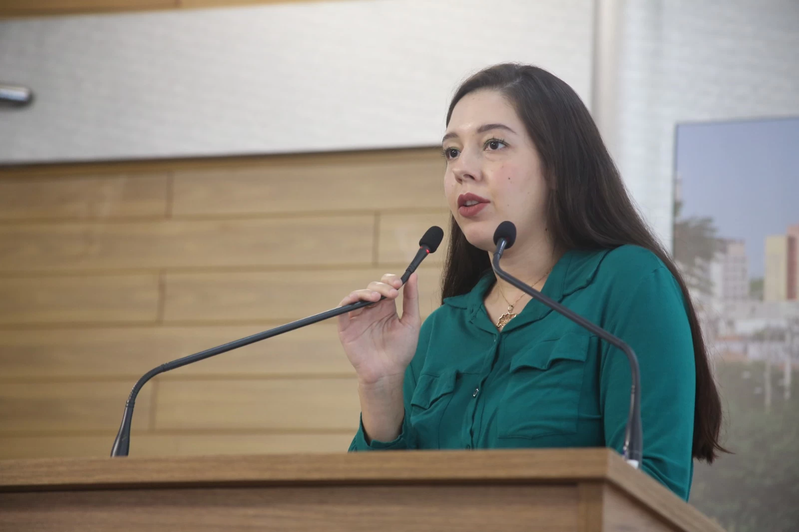 Comissão de Ética da Câmara de Sorocaba define relatores para representações contra vereadora Tatiane Costa