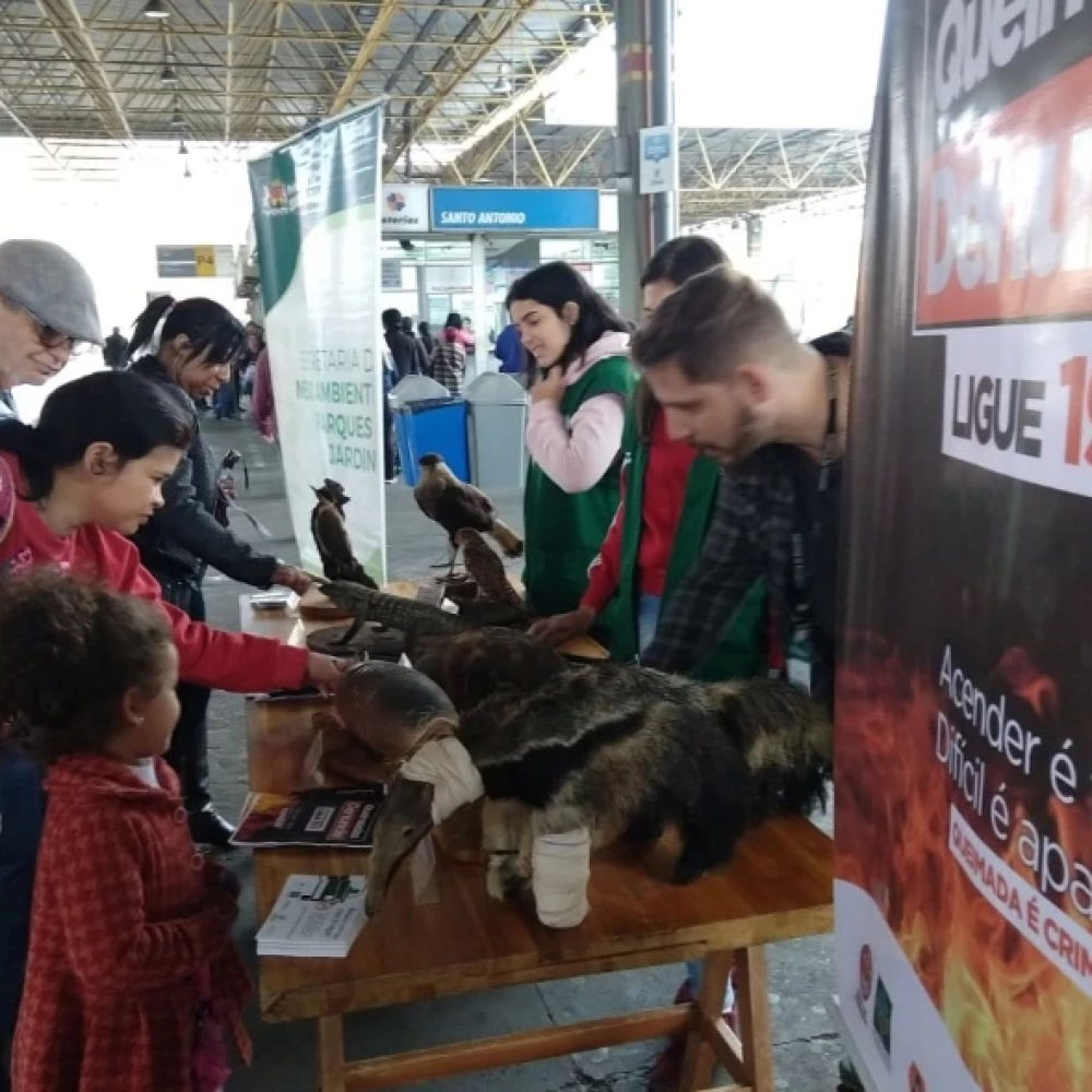 Educação Ambiental atinge quase 65 mil pessoas em Sorocaba em 2018