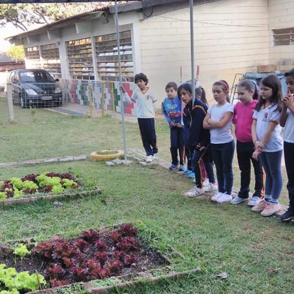 EM. Ernesto Martins realiza projeto de plantio e consumo de verduras e legumes