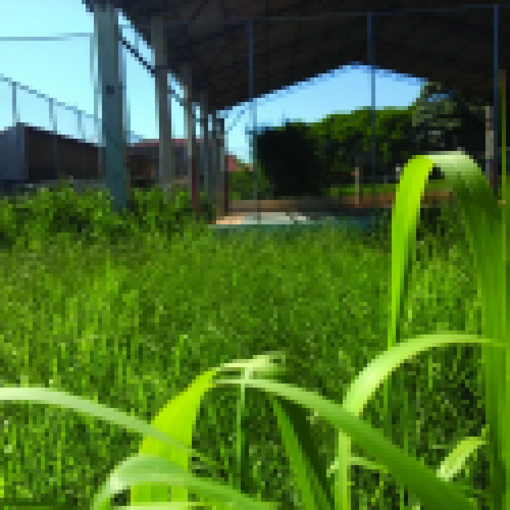 Escola fechada há mais de um ano gera reclamações na Vila Angélica