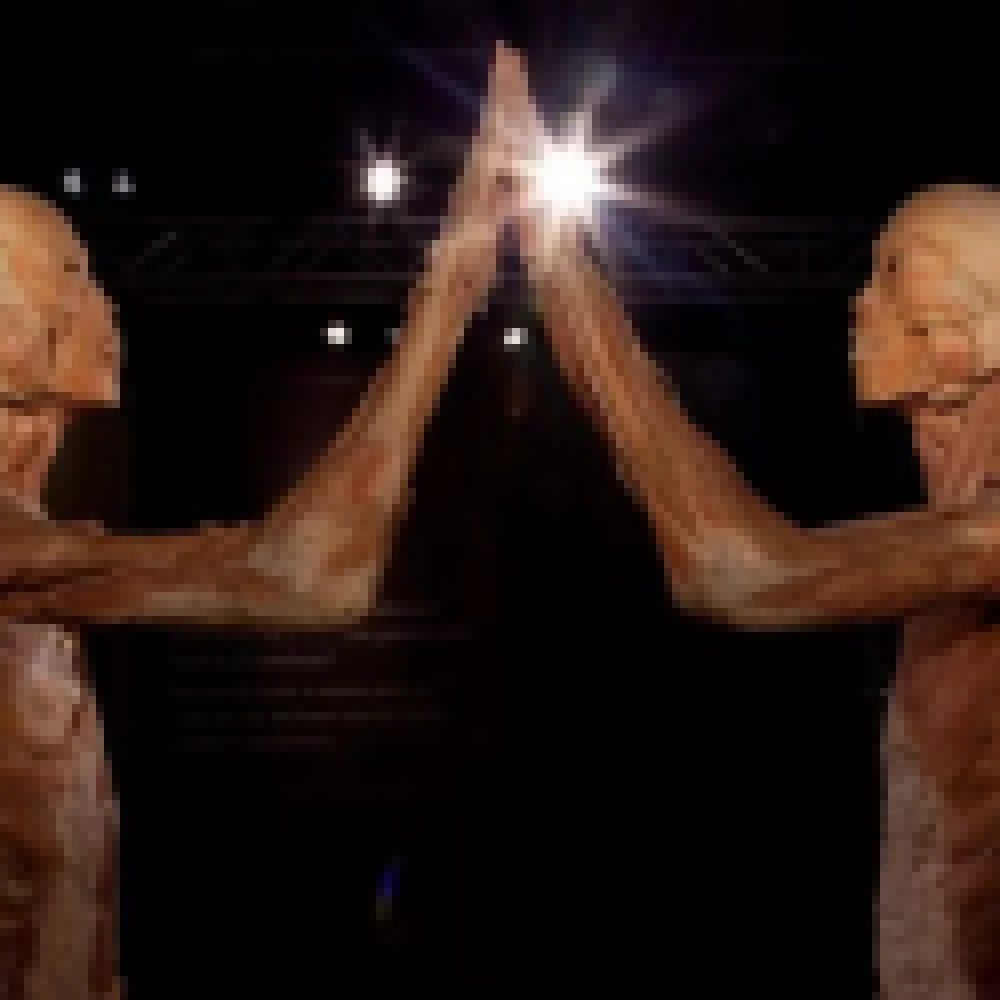 Exposição Internacional “O Fantástico Corpo Humano” acontece no Iguatemi Esplanada