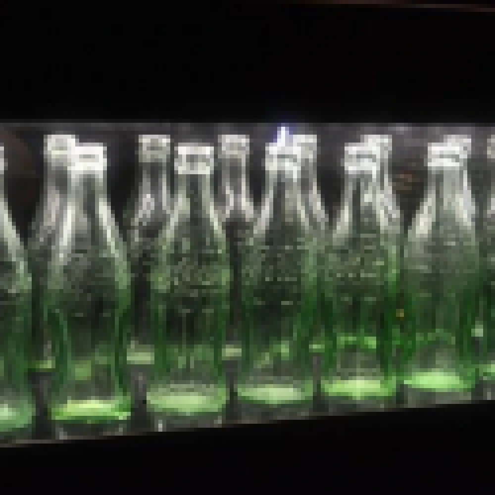 Exposição sobre o centenário da garrafa da Coca-Cola segue até domingo