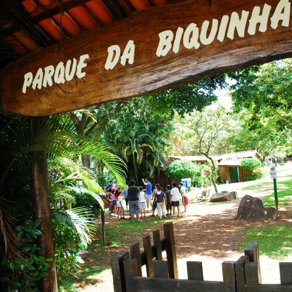 Férias na Bica reunirá 40 crianças para tratar de Bem-Estar Animal