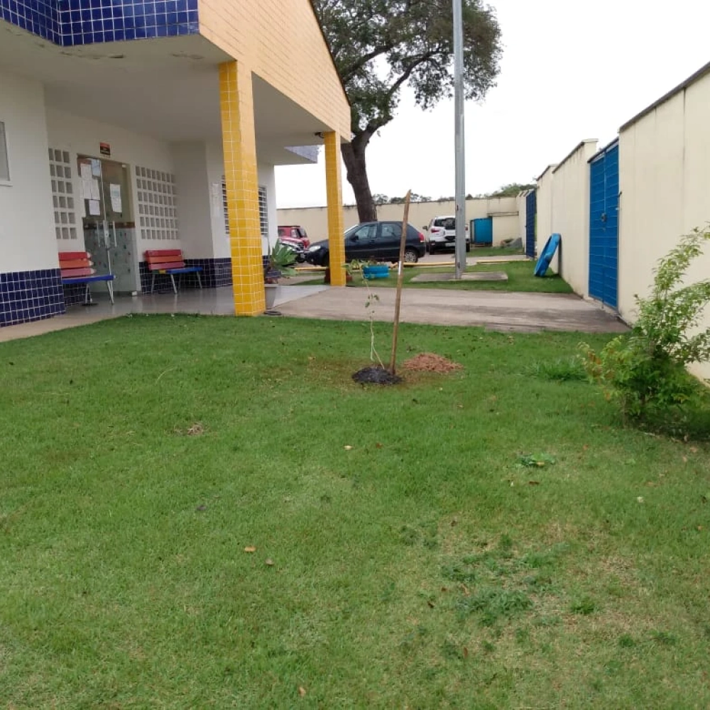 ‘Festa da Família’ contou com plantio de árvores no CEI-107