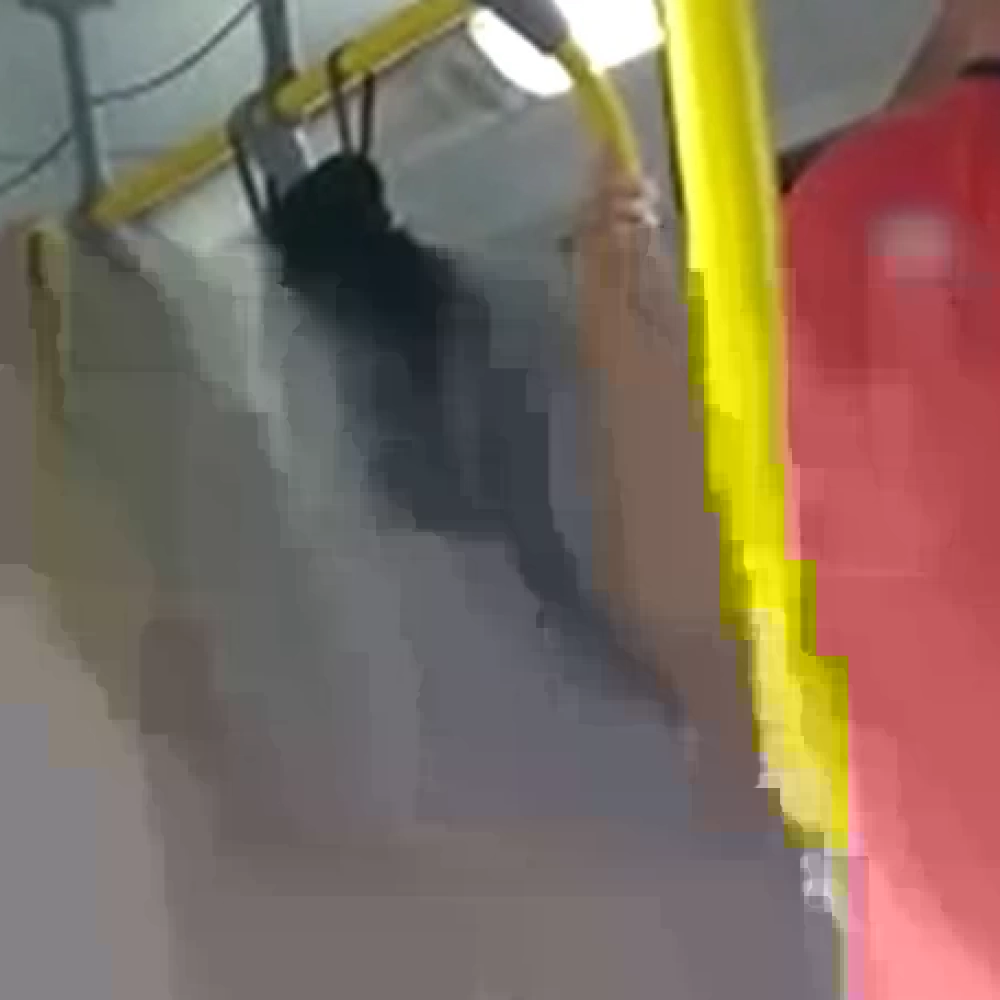 “Fiquei desesperada, tremendo, chorando”, afirma adolescente após assédio em ônibus; Autor disse que órgão sexual “saiu sem querer” de sua calça