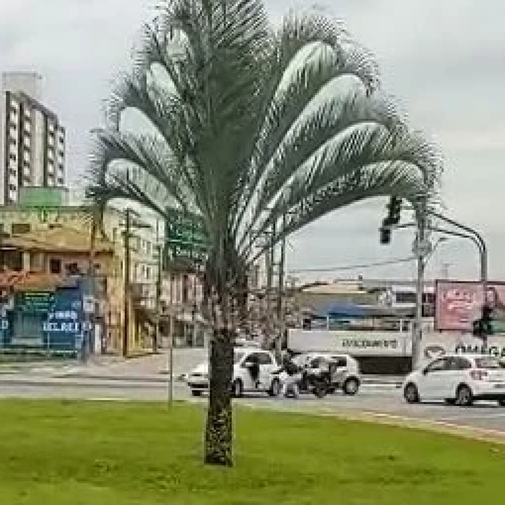 GCM prende homem por tentativa de roubo de veículo em cruzamento da cidade