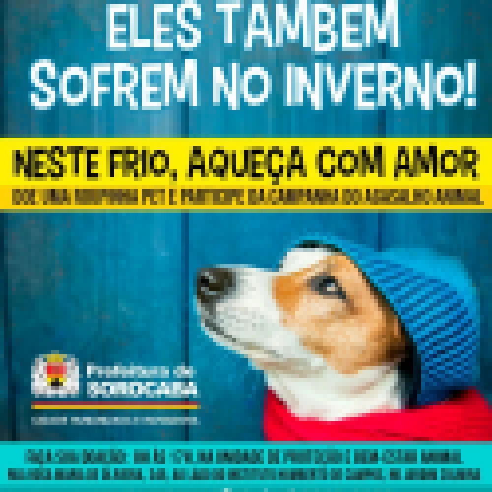 “HumanizAção Inverno” arrecada cobertores e roupinhas pet para proteger pessoas em situação de rua e animaizinhos de estimação nos dias frios