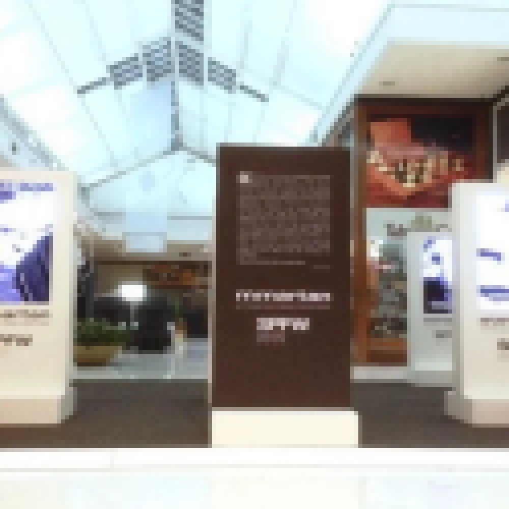 Iguatemi Esplanada recebe exposição “Um Sonho que Vale Ouro”